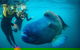 2Day 2Night Sail, Snorkel & SUP Adventure Whitsundays Double - thumb 9