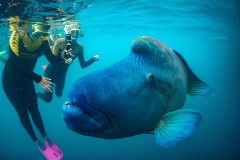 2Day 2Night Sail, Snorkel & SUP Adventure Whitsundays Double - Accommodation Ballina 9