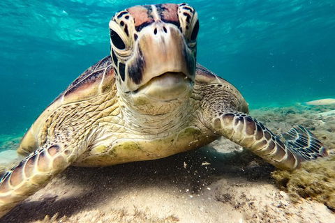 2Day 2Night Sail, Snorkel & SUP Adventure Whitsundays Double - Accommodation Ballina 6