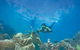 2Day 2Night Sail, Snorkel & SUP Adventure Whitsundays Double - thumb 14