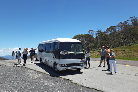 Self-guided Coast Walks - Noosa To Sydney 6 Days ( Dep 25 Sep 2019, 24 Sep 2020) - Accommodation Ballina 1