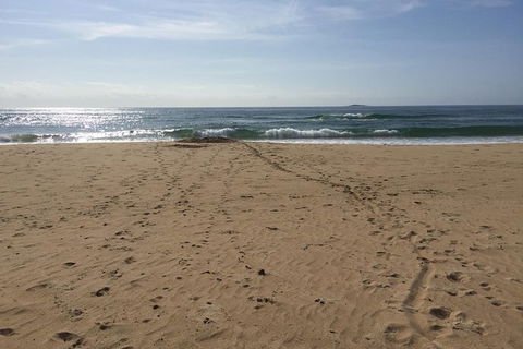 Self-guided Coast Walks - Noosa To Sydney 6 Days ( Dep 25 Sep 2019, 24 Sep 2020) - Accommodation Ballina 5