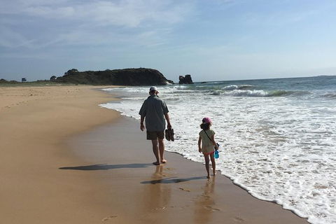 Self-guided Coast Walks - Noosa To Sydney 6 Days ( Dep 25 Sep 2019, 24 Sep 2020) - Accommodation Ballina 4