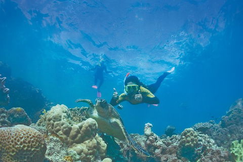 2Day 2 Night Sail, Snorkel & SUP Adventure Whitsundays Single - Accommodation Ballina 8