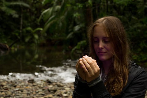 Daintree And Cape Tribulation Full Day Guided Tour - Accommodation Ballina 4