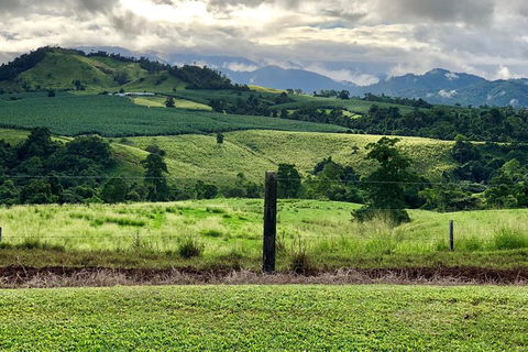 Tableland Tasting Tour - Accommodation Ballina 0
