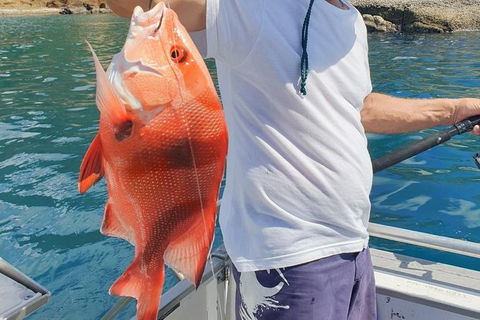 Adventure Fishing Combo Day - Fish, Swim, Whitehaven, Hill Inlet Bush Walking - Accommodation Ballina 2