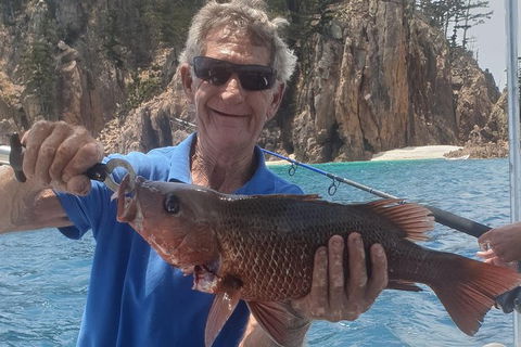 Adventure Fishing Combo Day - Fish, Swim, Whitehaven, Hill Inlet Bush Walking - Accommodation Ballina 10