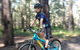 Noosa Hinterland Scenic FAT Bike Tour - thumb 2