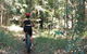 Noosa Hinterland Scenic FAT Bike Tour - thumb 5