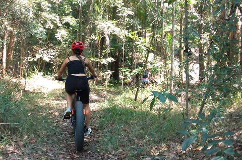 Noosa Hinterland Scenic FAT Bike Tour - Accommodation Ballina 5