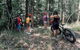 Noosa Hinterland Scenic FAT Bike Tour - thumb 8