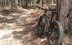 Noosa Hinterland Scenic FAT Bike Tour - thumb 7