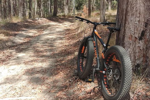 Noosa Hinterland Scenic FAT Bike Tour - Accommodation Ballina 7