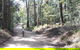 Noosa Hinterland Scenic FAT Bike Tour - thumb 4