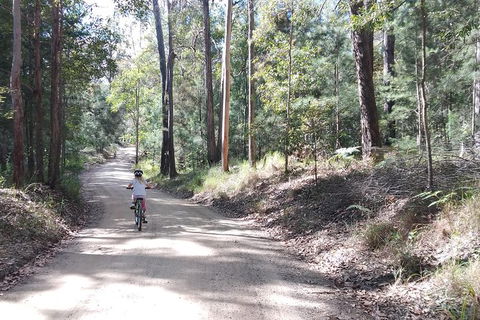 Noosa Hinterland Scenic FAT Bike Tour - Accommodation Ballina 4