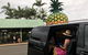 Private Transfer From Noosa To Brisbane Airport For 1 To 4 People - thumb 4