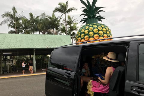 Private Transfer From Noosa To Brisbane Airport For 1 To 4 People - Accommodation Ballina 4