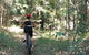 Noosa Hinterland Scenic Canoe & FAT Bike Tour - thumb 1