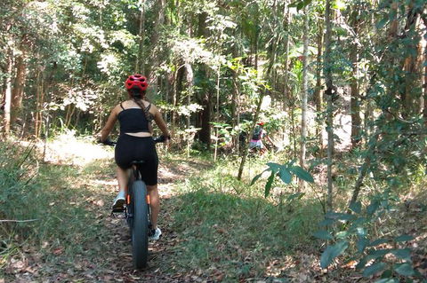 Noosa Hinterland Scenic Canoe & FAT Bike Tour - Accommodation Ballina 1