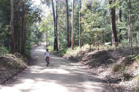 Noosa Hinterland Scenic Canoe & FAT Bike Tour - Accommodation Ballina 4