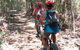 Noosa Hinterland Scenic Canoe & FAT Bike Tour - thumb 3