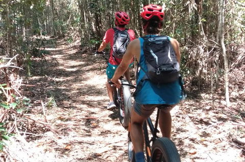 Noosa Hinterland Scenic Canoe & FAT Bike Tour - Accommodation Ballina 3