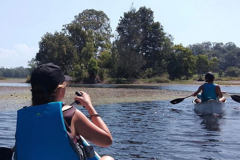 Noosa Hinterland Scenic Canoe & FAT Bike Tour - Accommodation Ballina 0