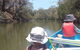 Noosa Hinterland Scenic Canoe Tour - thumb 1