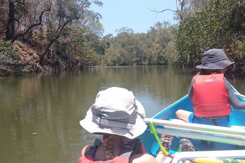 Noosa Hinterland Scenic Canoe Tour - Accommodation Ballina 1