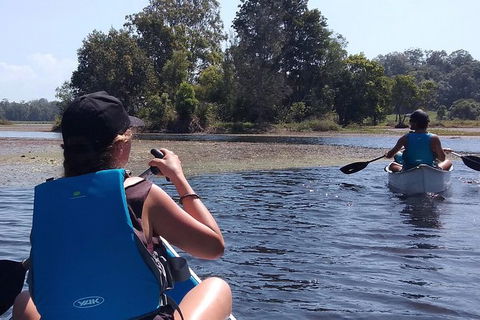 Noosa Hinterland Scenic Canoe Tour - Accommodation Ballina 2