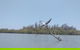Noosa Hinterland Scenic Canoe Tour - thumb 5