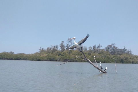 Noosa Hinterland Scenic Canoe Tour - Accommodation Ballina 5