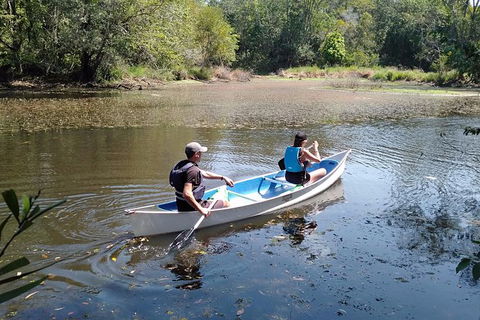 Noosa Hinterland Scenic Canoe Tour - Accommodation Ballina 6