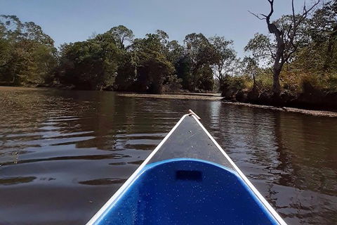 Noosa Hinterland Scenic Canoe Tour - Accommodation Ballina 3