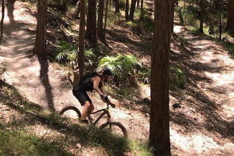 EMtn Bike + Brewery Day Tour - Accommodation Ballina 12