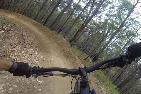 EMtn Bike + Brewery Day Tour - Accommodation Ballina 2