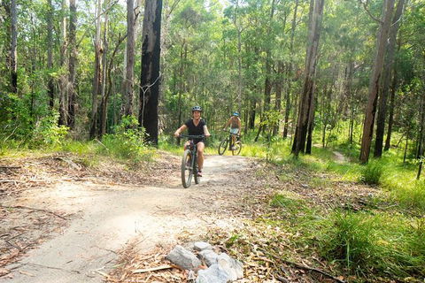 EMtn Bike + Brewery Day Tour - Accommodation Ballina 1