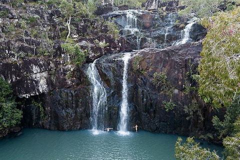 Private Group Eco Tour - Accommodation Ballina 2