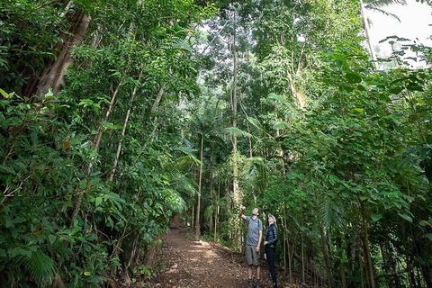 Private Group Eco Tour - Accommodation Ballina 0