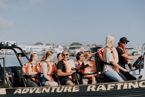 Whale Watching - Accommodation Ballina 4