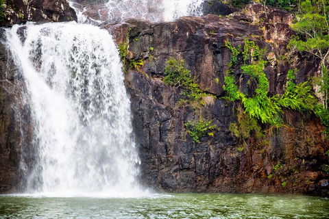 Cedar Creek Falls And Hydeaway Bay Tour - Accommodation Ballina 2