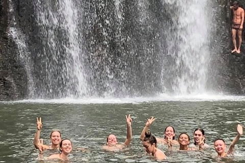 Cedar Creek Falls And Hydeaway Bay Tour - Accommodation Ballina 3