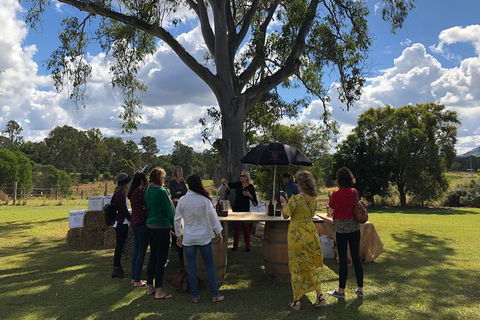 Hinterland Cheese & Wine Tasting Tour - With 2 Course Lunch Included - Accommodation Ballina 1