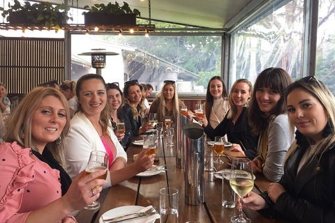 Hinterland Cheese & Wine Tasting Tour - With 2 Course Lunch Included - Accommodation Ballina 0