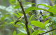 Birdwatching And Wildlife Noosa Biosphere Full-Day Experience - thumb 1