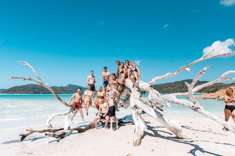 4 Day And 3 Night Whitsunday Maxi Sailing Adventure On Broomstick - Accommodation Ballina 3