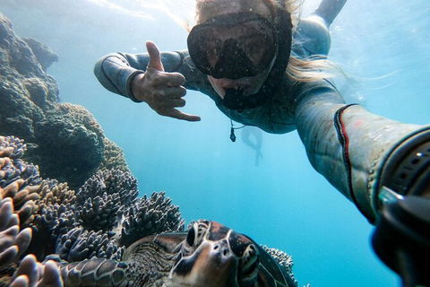 4 Day And 3 Night Whitsunday Maxi Sailing Adventure On Broomstick - Accommodation Ballina 13