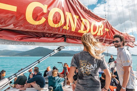 4 Day And 3 Night Whitsunday Maxi Sailing Adventure On Condor - Accommodation Ballina 3