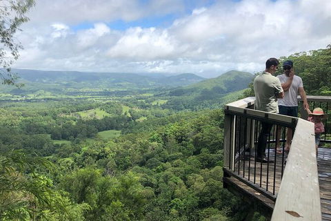 Sunshine Coast Scenic Food, & Wine Trail Inc. Lunch (Min 6 Adults) - Accommodation Ballina 4